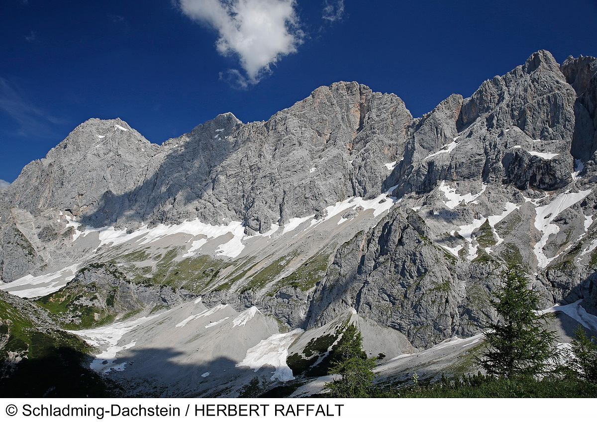 Trek Safari - King Dachstein Trail pro běžce 5